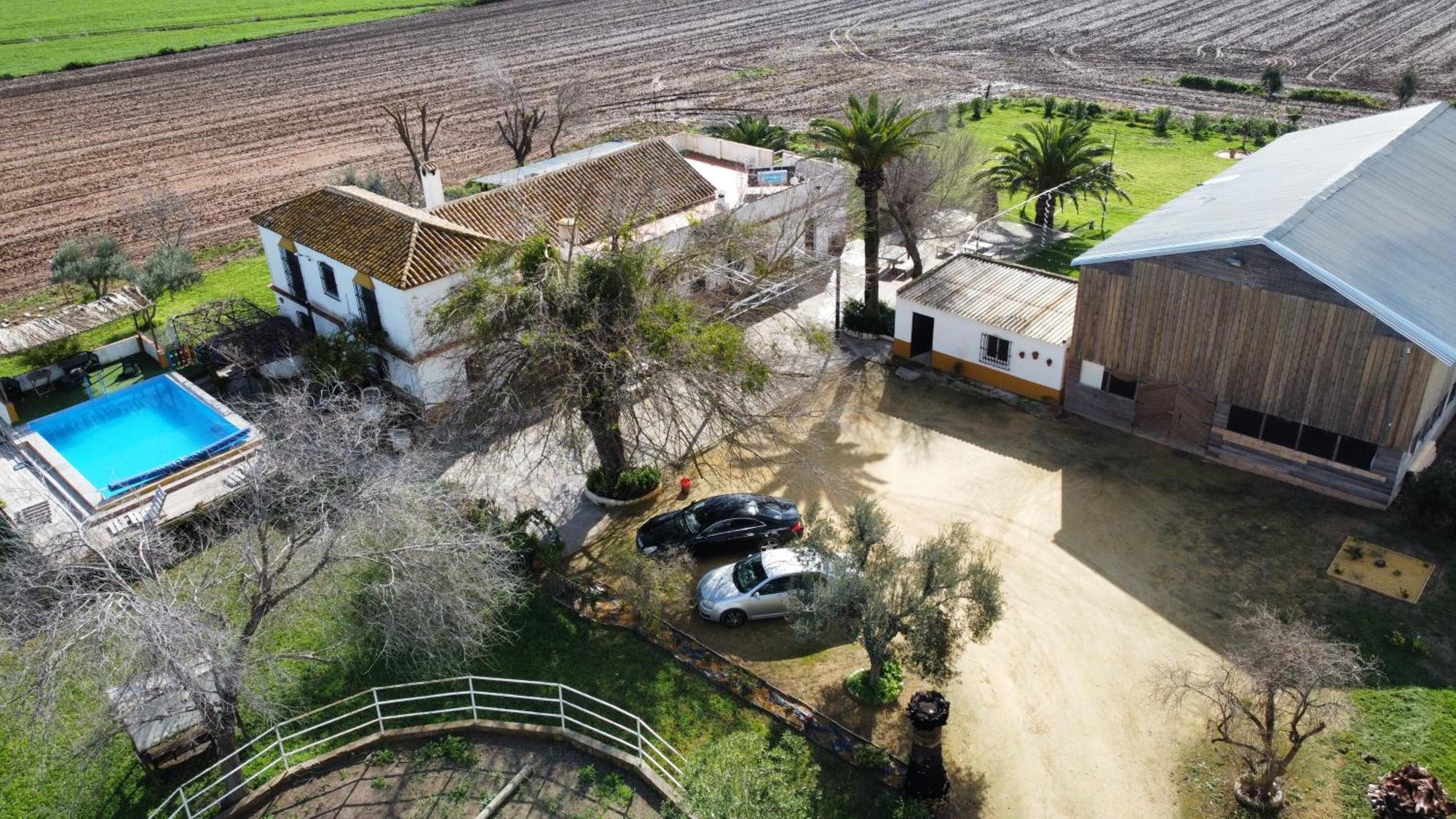 Вилла Rancho Jardines De Marchenilla Алькала-де-Гвадаира Экстерьер фото