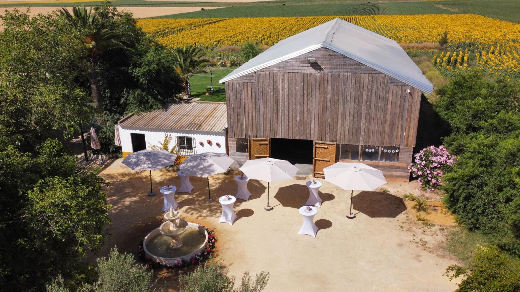 Вилла Rancho Jardines De Marchenilla Алькала-де-Гвадаира Экстерьер фото